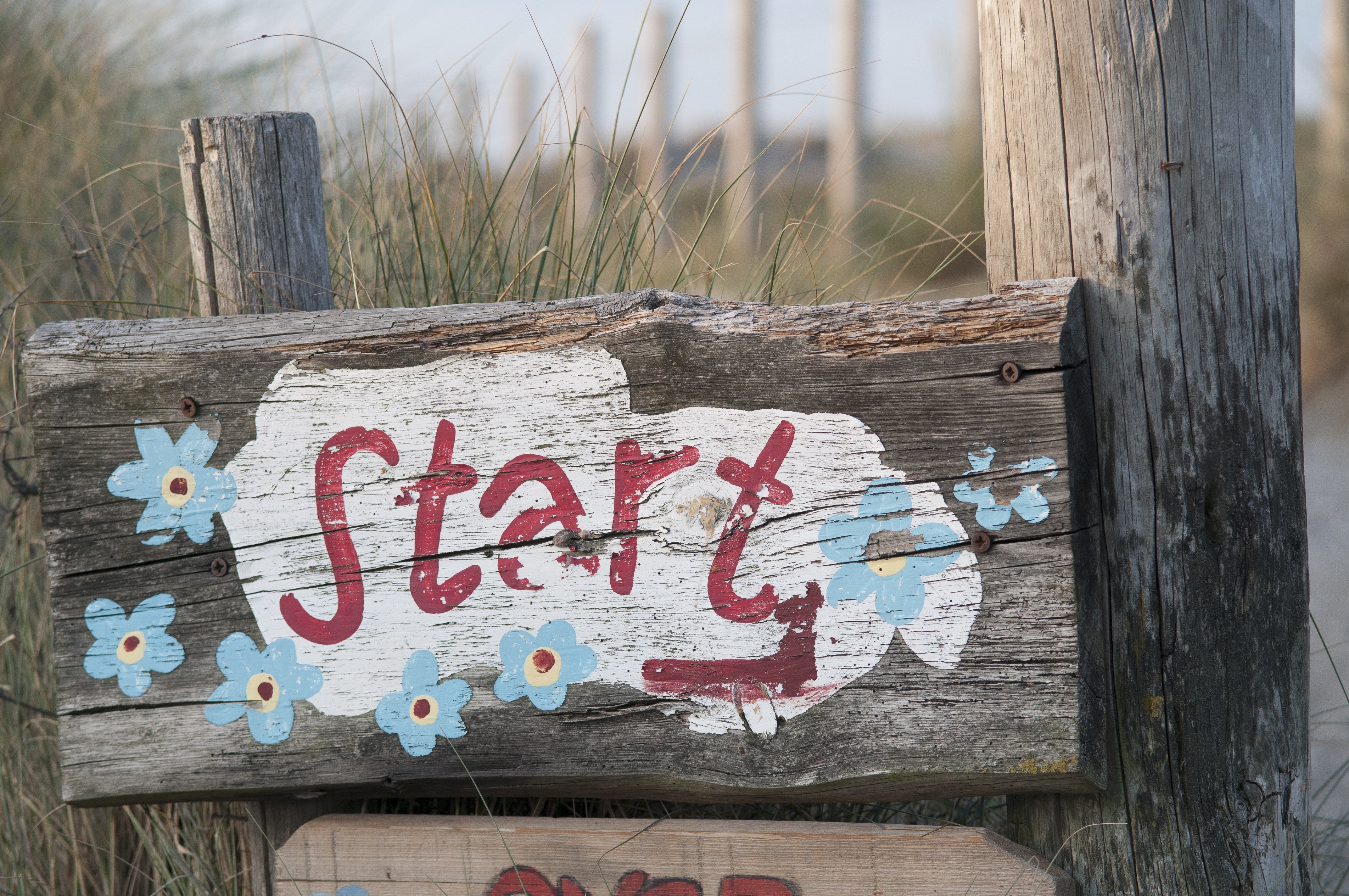 A painted sign that says START on a piece of wood
